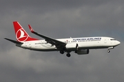 Turkish Airlines Boeing 737-8F2 (TC-JGR) at  Istanbul - Ataturk, Turkey