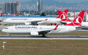 Turkish Airlines Boeing 737-8F2 (TC-JGS) at  Istanbul - Ataturk, Turkey