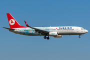 Turkish Airlines Boeing 737-8F2 (TC-JGU) at  Amsterdam - Schiphol, Netherlands