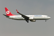 Turkish Airlines Boeing 737-8F2 (TC-JGV) at  Istanbul - Ataturk, Turkey