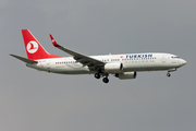 Turkish Airlines Boeing 737-8F2 (TC-JGY) at  Istanbul - Ataturk, Turkey