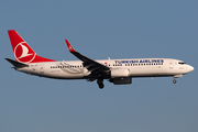Turkish Airlines Boeing 737-8F2 (TC-JGY) at  Istanbul - Ataturk, Turkey