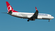 Turkish Airlines Boeing 737-8F2 (TC-JGZ) at  Frankfurt am Main, Germany