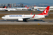 Turkish Airlines Boeing 737-8F2 (TC-JGZ) at  Istanbul - Ataturk, Turkey