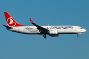 Turkish Airlines Boeing 737-8F2 (TC-JGZ) at  Istanbul - Ataturk, Turkey