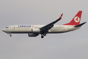 Turkish Airlines Boeing 737-8F2 (TC-JHA) at  Milan - Malpensa, Italy