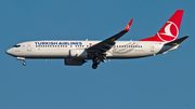 Turkish Airlines Boeing 737-8F2 (TC-JHK) at  Dusseldorf - International, Germany