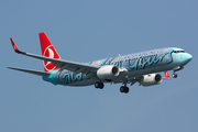 Turkish Airlines Boeing 737-8F2 (TC-JHL) at  Istanbul - Ataturk, Turkey