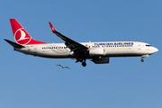 Turkish Airlines Boeing 737-8F2 (TC-JHN) at  Istanbul - Ataturk, Turkey