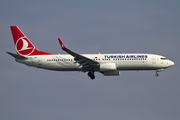 Turkish Airlines Boeing 737-8F2 (TC-JHP) at  Istanbul - Ataturk, Turkey