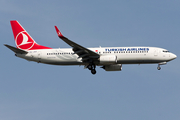 Turkish Airlines Boeing 737-8F2 (TC-JHZ) at  Istanbul - Ataturk, Turkey