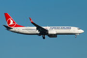 Turkish Airlines Boeing 737-8F2 (TC-JHZ) at  Istanbul - Ataturk, Turkey