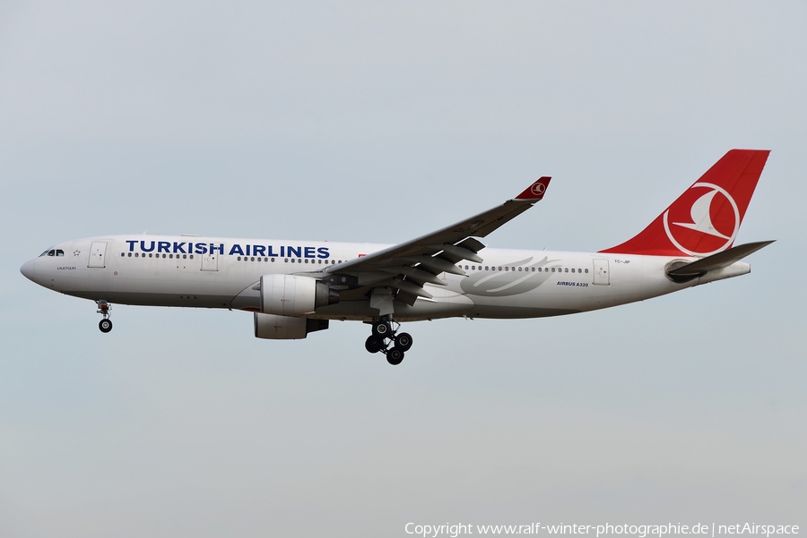Turkish Airlines Airbus A330-223 (TC-JIP) | Photo 377293