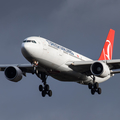 Turkish Airlines Airbus A330-223 (TC-JIS) at  Frankfurt am Main, Germany