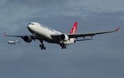 Turkish Airlines Airbus A330-223 (TC-JIV) at  Frankfurt am Main, Germany