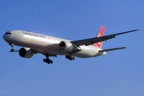 Turkish Airlines Boeing 777-3F2(ER) (TC-JJE) at  Sao Paulo - Guarulhos - Andre Franco Montoro (Cumbica), Brazil