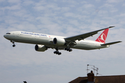 Turkish Airlines Boeing 777-3F2(ER) (TC-JJM) at  London - Heathrow, United Kingdom