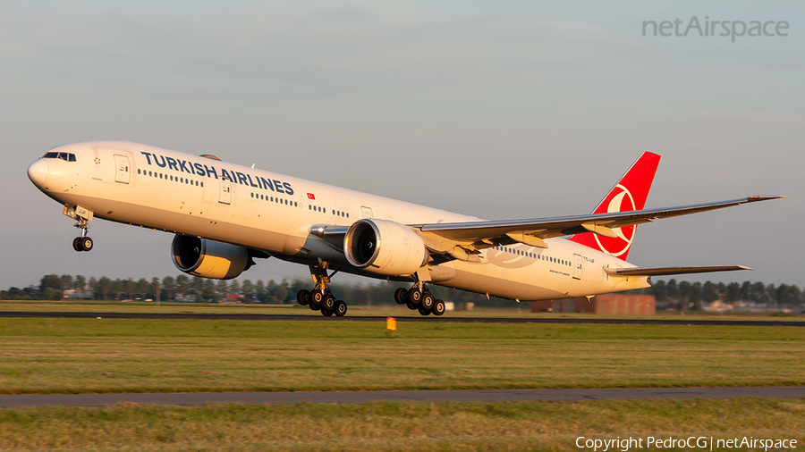 Turkish Airlines Boeing 777-3F2(ER) (TC-JJP) | Photo 445700