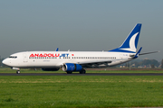 AnadoluJet Boeing 737-8Q8 (TC-JKU) at  Amsterdam - Schiphol, Netherlands