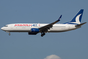 AnadoluJet Boeing 737-8Q8 (TC-JKU) at  Frankfurt am Main, Germany