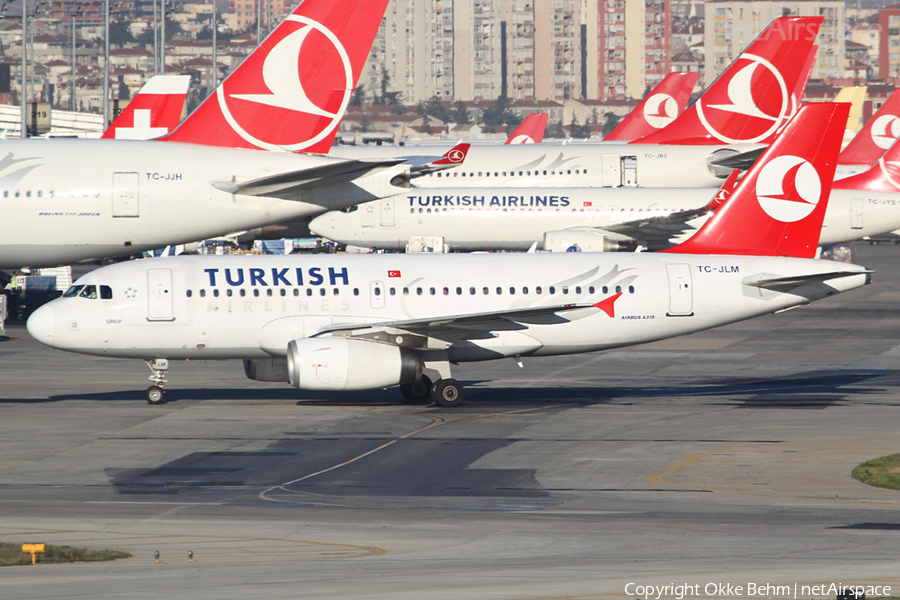 Turkish Airlines Airbus A319-132 (TC-JLM) | Photo 43960