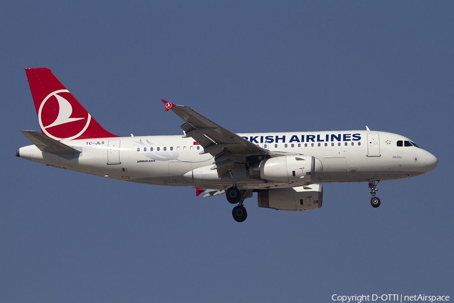 Turkish Airlines Airbus A319-132 (TC-JLS) | Photo 391366