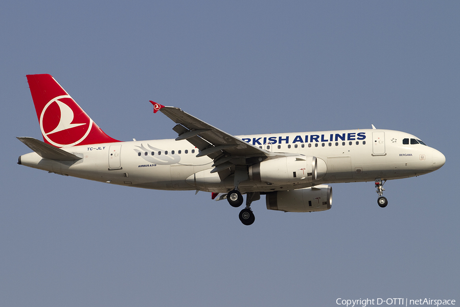 Turkish Airlines Airbus A319-132 (TC-JLY) | Photo 392116