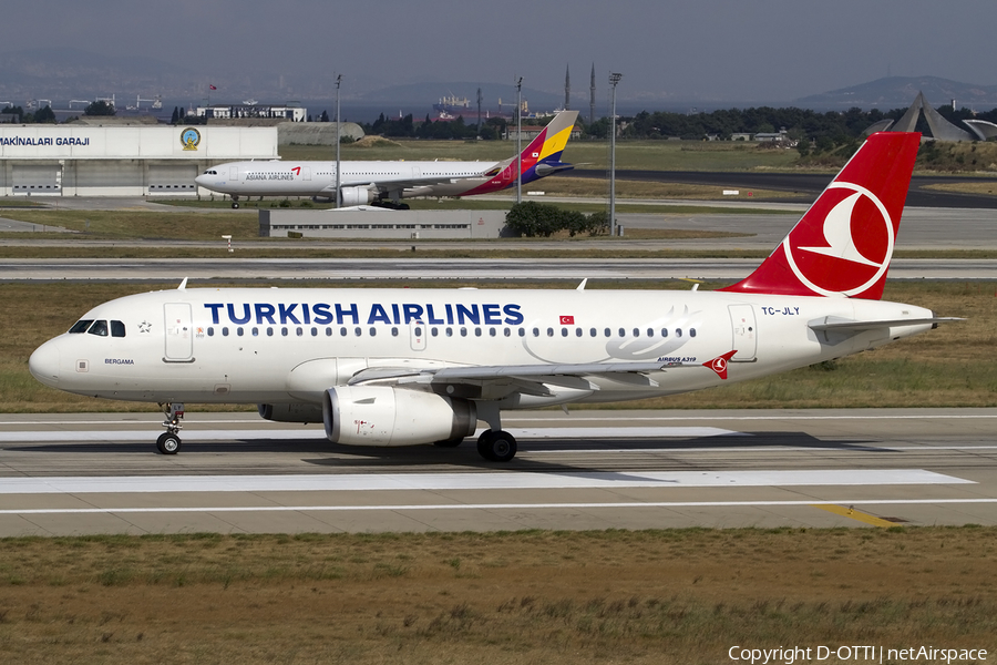 Turkish Airlines Airbus A319-132 (TC-JLY) | Photo 409435