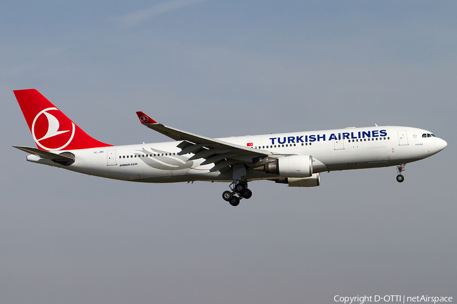 Turkish Airlines Airbus A330-203 (TC-JNE) | Photo 490652