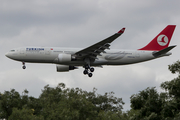 Turkish Airlines Airbus A330-203 (TC-JNF) at  London - Heathrow, United Kingdom