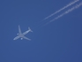 Turkish Airlines Airbus A330-303 (TC-JOA) at  In Flight, Slovenia