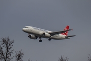 Turkish Airlines Airbus A320-232 (TC-JPH) at  Berlin - Tegel, Germany