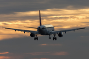 Turkish Airlines Airbus A321-231 (TC-JRN) at  Barcelona - El Prat, Spain