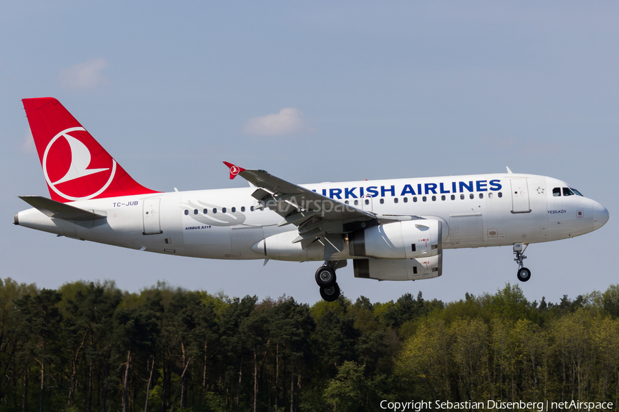 Turkish Airlines Airbus A319-132 (TC-JUB) | Photo 126276
