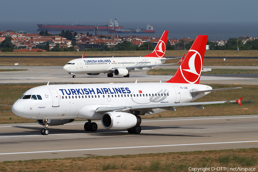 Turkish Airlines Airbus A319-132 (TC-JUB) | Photo 409437