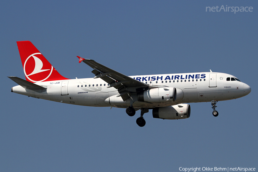 Turkish Airlines Airbus A319-132 (TC-JUB) | Photo 44076