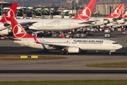 Turkish Airlines Boeing 737-8F2 (TC-JVB) at  Istanbul - Ataturk, Turkey