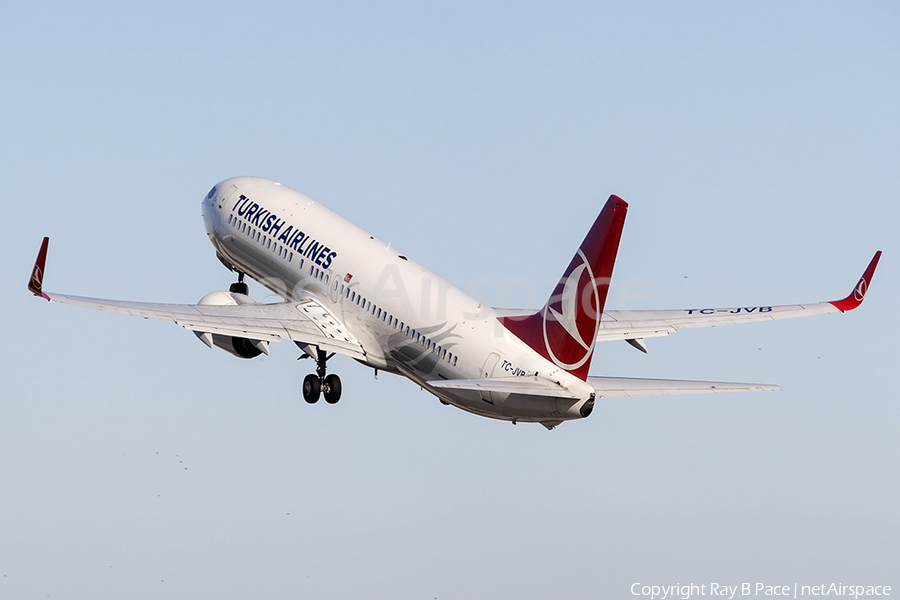 Turkish Airlines Boeing 737-8F2 (TC-JVB) | Photo 205243