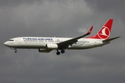 Turkish Airlines Boeing 737-8F2 (TC-JVC) at  Barcelona - El Prat, Spain