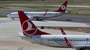 Turkish Airlines Boeing 737-8F2 (TC-JVC) at  Dusseldorf - International, Germany