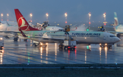 Turkish Airlines Boeing 737-8F2 (TC-JVE) at  Dusseldorf - International, Germany