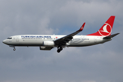 Turkish Airlines Boeing 737-8F2 (TC-JVI) at  London - Gatwick, United Kingdom
