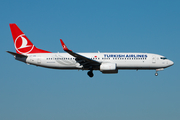 Turkish Airlines Boeing 737-8F2 (TC-JVL) at  Frankfurt am Main, Germany