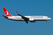 Turkish Airlines Boeing 737-8F2 (TC-JVM) at  Istanbul - Ataturk, Turkey