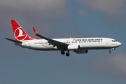 Turkish Airlines Boeing 737-8F2 (TC-JVU) at  Istanbul - Ataturk, Turkey