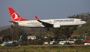 Turkish Airlines Boeing 737-8F2 (TC-JVY) at  Tenerife Norte - Los Rodeos, Spain