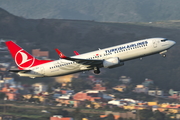 Turkish Airlines Boeing 737-8F2 (TC-JVY) at  Tenerife Norte - Los Rodeos, Spain