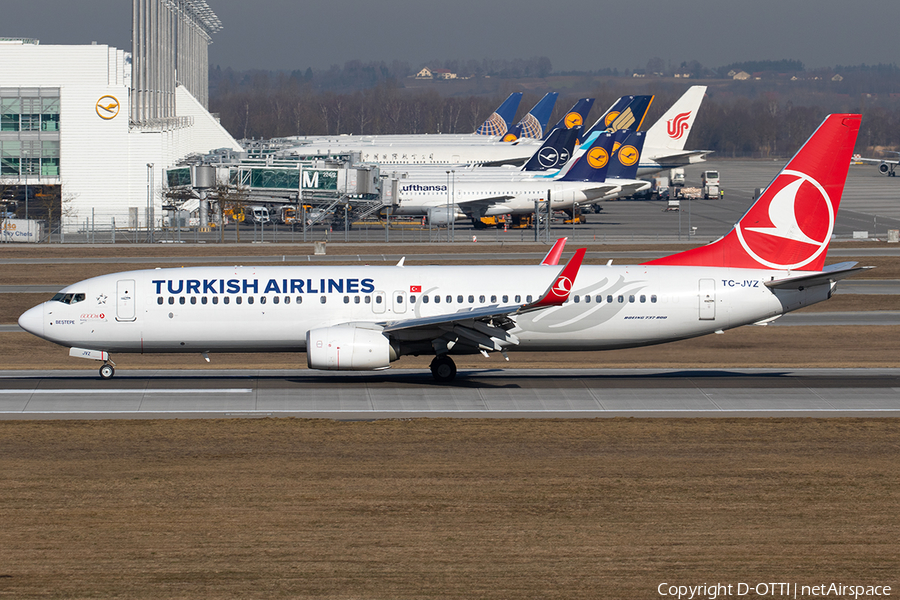 Turkish Airlines Boeing 737-8F2 (TC-JVZ) | Photo 295725
