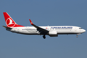 Turkish Airlines Boeing 737-8F2 (TC-JZG) at  Istanbul - Ataturk, Turkey