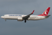 Turkish Airlines Boeing 737-8F2 (TC-JZH) at  Hamburg - Fuhlsbuettel (Helmut Schmidt), Germany